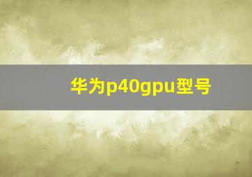 华为p40gpu型号