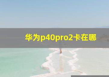 华为p40pro2卡在哪