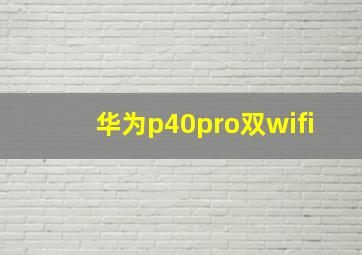 华为p40pro双wifi