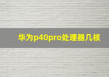 华为p40pro处理器几核