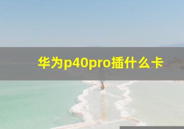 华为p40pro插什么卡