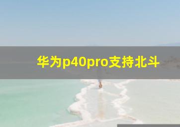 华为p40pro支持北斗