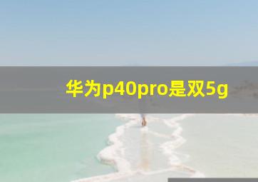 华为p40pro是双5g