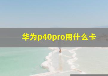 华为p40pro用什么卡