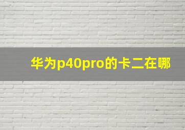 华为p40pro的卡二在哪