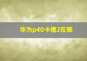 华为p40卡槽2在哪