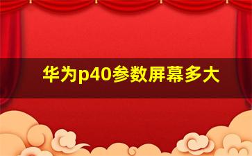 华为p40参数屏幕多大