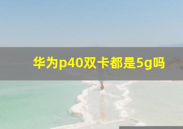 华为p40双卡都是5g吗