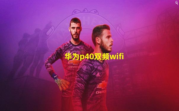 华为p40双频wifi