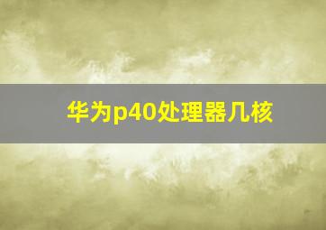 华为p40处理器几核