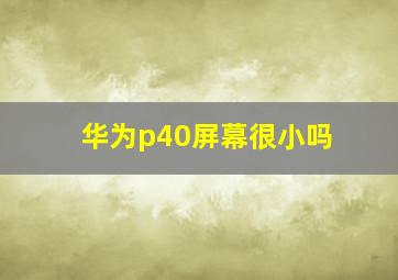 华为p40屏幕很小吗