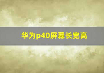 华为p40屏幕长宽高