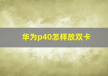 华为p40怎样放双卡