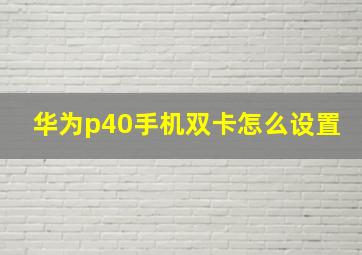 华为p40手机双卡怎么设置