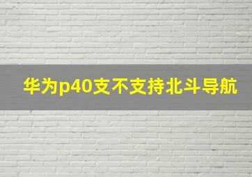 华为p40支不支持北斗导航