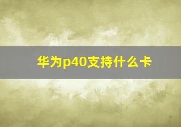 华为p40支持什么卡