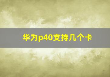 华为p40支持几个卡