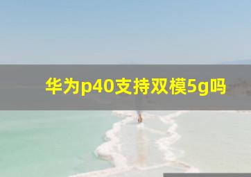 华为p40支持双模5g吗