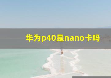 华为p40是nano卡吗