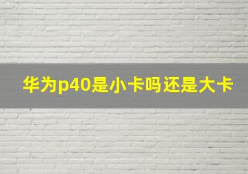 华为p40是小卡吗还是大卡