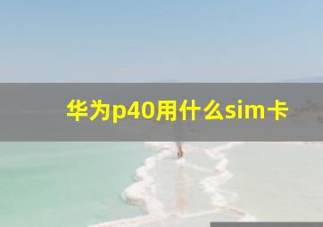 华为p40用什么sim卡