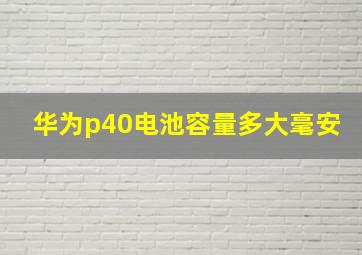 华为p40电池容量多大毫安