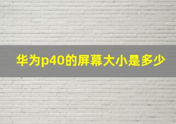 华为p40的屏幕大小是多少