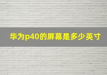 华为p40的屏幕是多少英寸