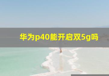 华为p40能开启双5g吗