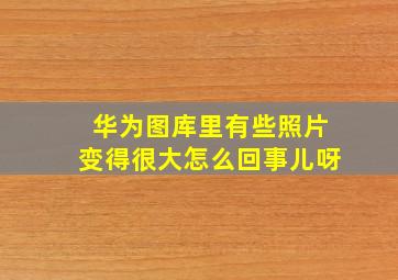 华为图库里有些照片变得很大怎么回事儿呀