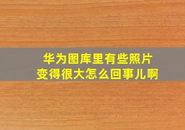 华为图库里有些照片变得很大怎么回事儿啊