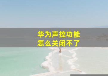 华为声控功能怎么关闭不了