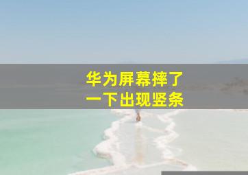 华为屏幕摔了一下出现竖条