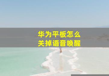 华为平板怎么关掉语音唤醒