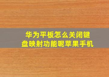 华为平板怎么关闭键盘映射功能呢苹果手机