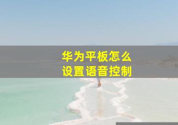 华为平板怎么设置语音控制