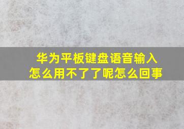 华为平板键盘语音输入怎么用不了了呢怎么回事