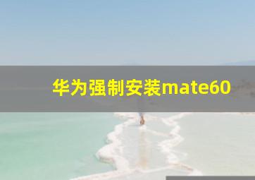 华为强制安装mate60