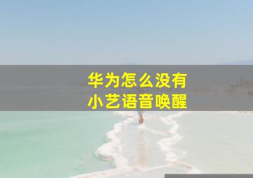 华为怎么没有小艺语音唤醒