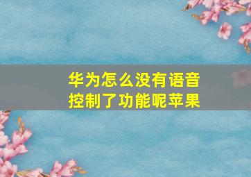 华为怎么没有语音控制了功能呢苹果