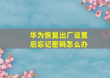 华为恢复出厂设置后忘记密码怎么办