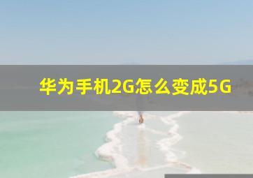 华为手机2G怎么变成5G