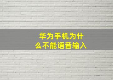 华为手机为什么不能语音输入