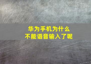 华为手机为什么不能语音输入了呢