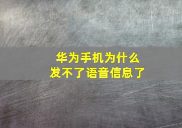 华为手机为什么发不了语音信息了