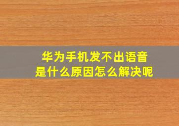 华为手机发不出语音是什么原因怎么解决呢