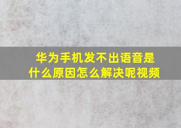 华为手机发不出语音是什么原因怎么解决呢视频