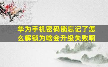 华为手机密码锁忘记了怎么解锁为啥会升级失败啊