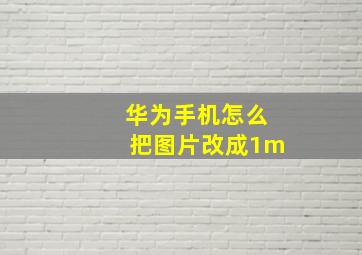 华为手机怎么把图片改成1m