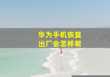 华为手机恢复出厂会怎样呢